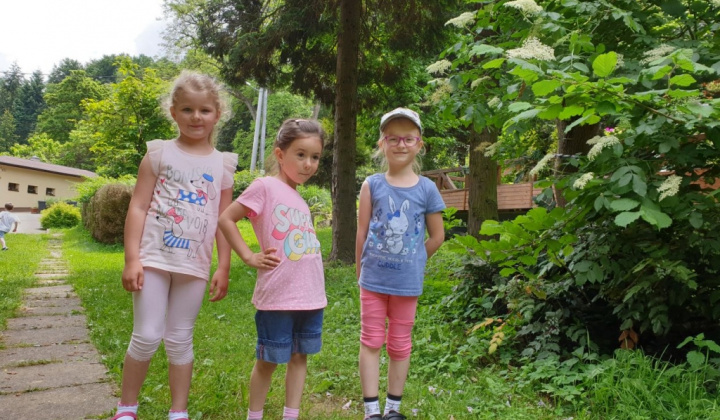 MŠ Kobyly - výlet detí v Prešove - 6.6.2019