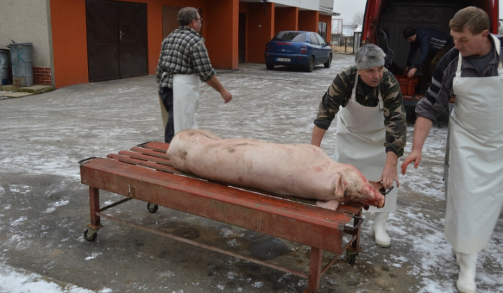 Obecná zabíjačka a klobasiáda 09.01.2016