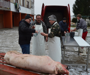 Obecná zabíjačka a klobasiáda 09.01.2016