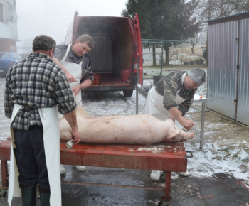 Obecná zabíjačka a klobasiáda 09.01.2016