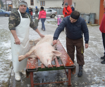 Obecná zabíjačka a klobasiáda 09.01.2016