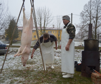 Obecná zabíjačka a klobasiáda 09.01.2016