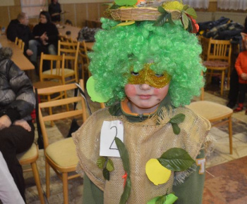 Karneval ZŠ a MŠ 2013