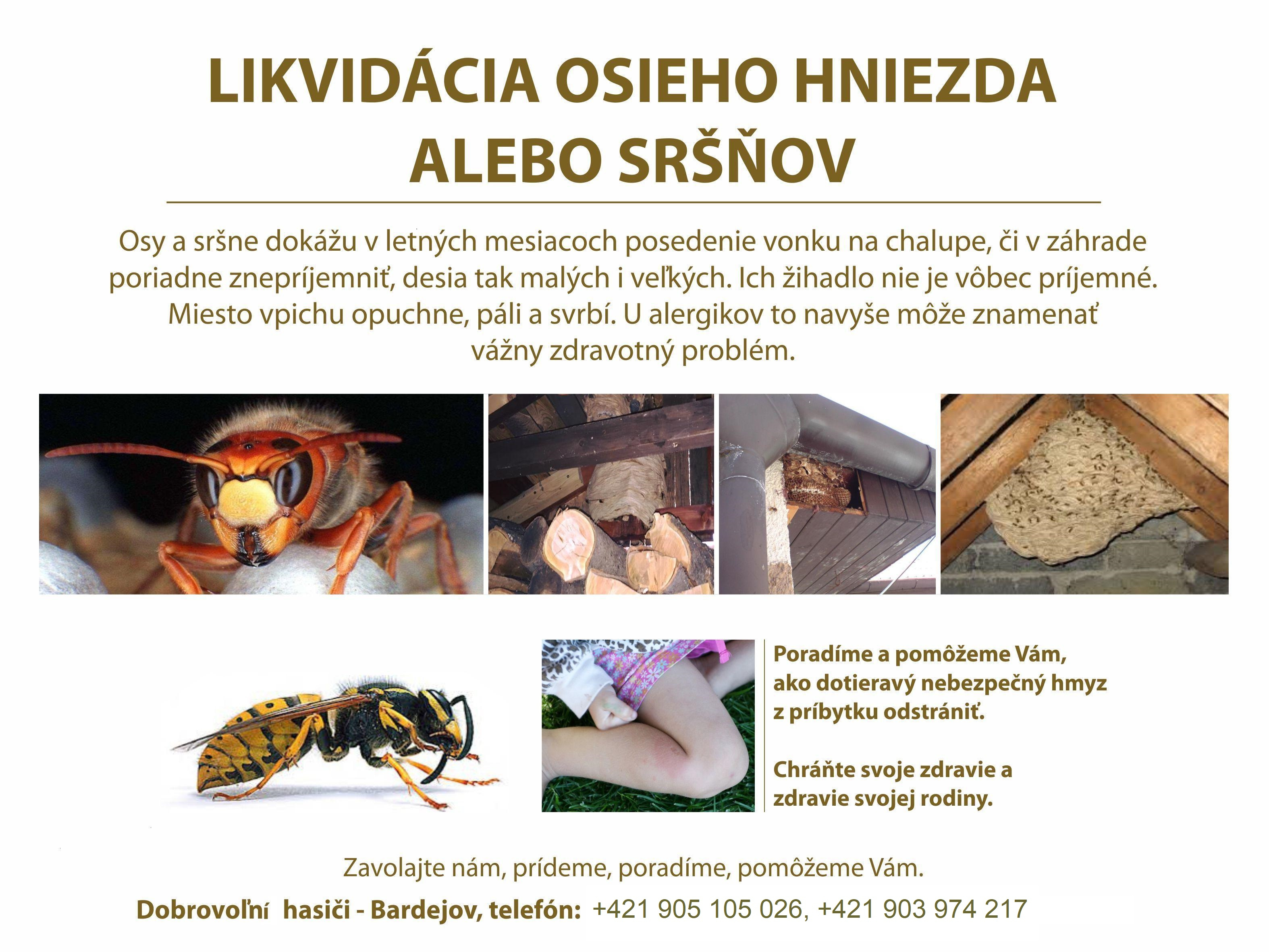 osie hniezda