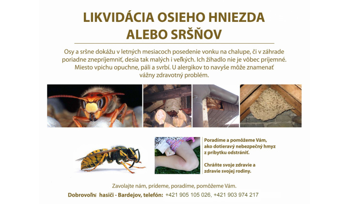 Likvidácia osích hniezd alebo sršňov