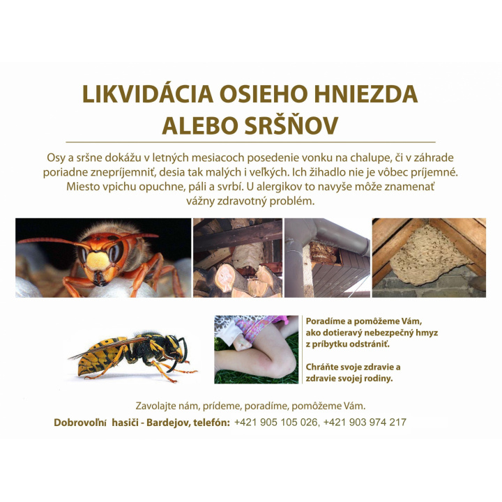 Likvidácia osích hniezd alebo sršňov